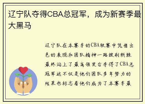 辽宁队夺得CBA总冠军，成为新赛季最大黑马