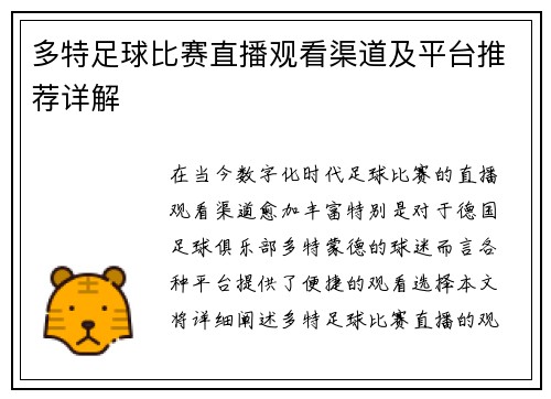 多特足球比赛直播观看渠道及平台推荐详解